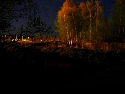 Sähkövalo loimuttaa puut entisen puhdistamon reunalla Sähkövalo loimuttaa puut entisen puhdistamon reunalla