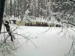 Kalliomaalaus - viikko-6-2013