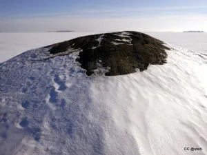 Skata - viikon 10 kuva